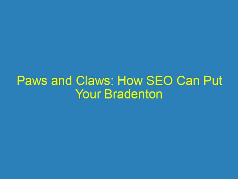 Paws and Claws: How SEO Can Put Your Bradenton Vet Clinic on the Map