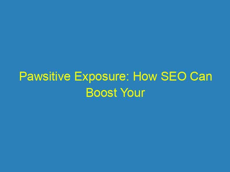 Pawsitive Exposure: How SEO Can Boost Your Bradenton Vet Practice