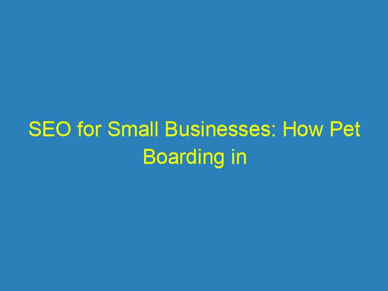 SEO for Small Businesses: How Pet Boarding in Bradenton Can Stand Out in a Crowded Market
