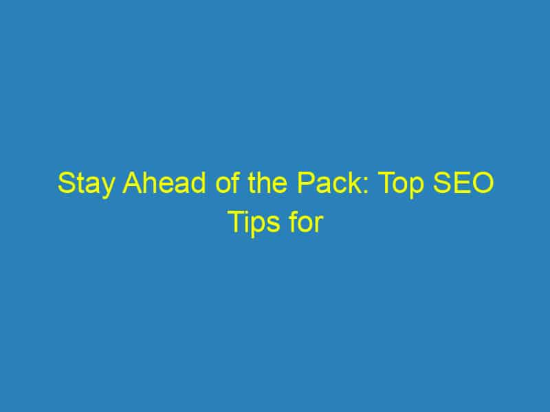 Stay Ahead of the Pack: Top SEO Tips for Bradenton Pet Trainers to Boost Visibility