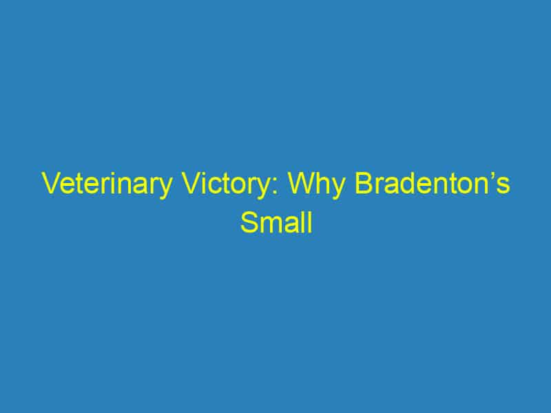 Veterinary Victory: Why Bradenton’s Small Animal Practices Can’t Ignore PPC Advertising