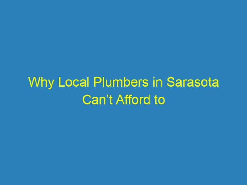 Why Local Plumbers in Sarasota Can’t Afford to Ignore SEO: Unlocking the Taps to New Customers!